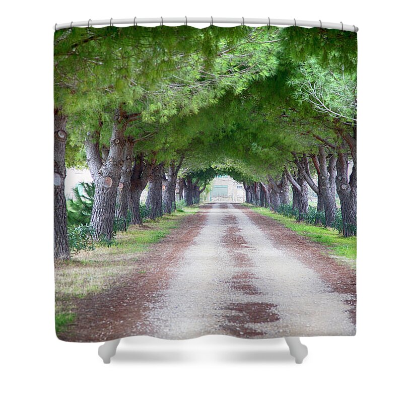 Vendres Shower Curtain featuring the photograph Country Lane Vendres France by Hugh Smith