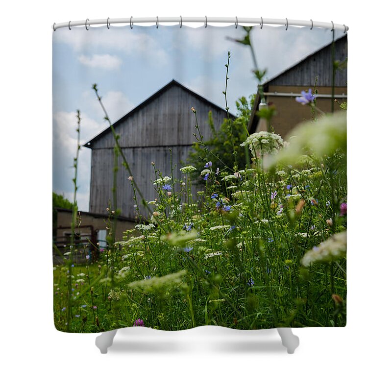 Farm Shower Curtain featuring the photograph Country Life by Holden The Moment