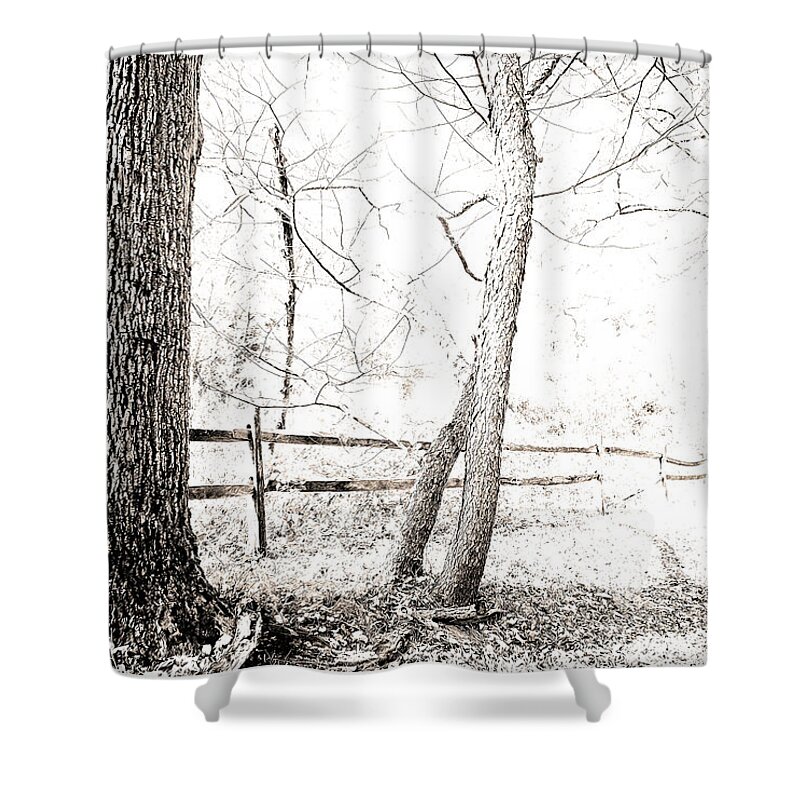 Country Shower Curtain featuring the photograph Country Roadside, Sepia Sketch by A Macarthur Gurmankin