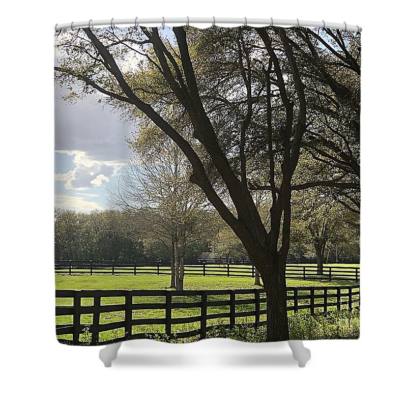 Landscape Shower Curtain featuring the photograph Country Scene by Carol Riddle