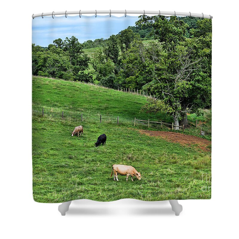 Cows Shower Curtain featuring the photograph Country Views - Cows in The Pasture by Kerri Farley
