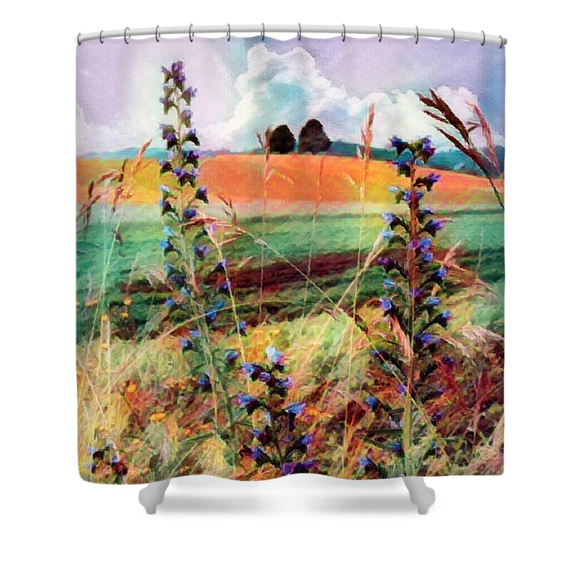 Clouds Shower Curtain featuring the photograph Country Wildflowers Painting by Debra and Dave Vanderlaan