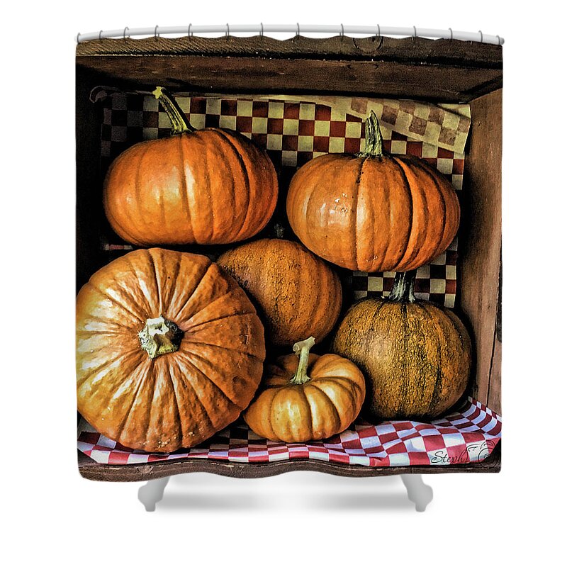 Pumpkins Shower Curtain featuring the photograph County Fair Pumpkins by Steph Gabler