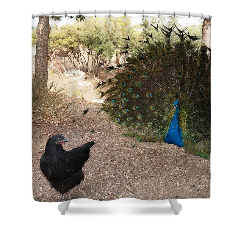 Courtship Shower Curtain featuring the photograph Courtship by Julia Ivanovna Willhite