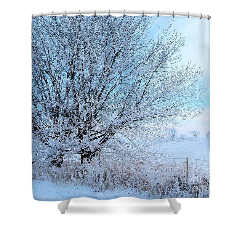 Winter Shower Curtain featuring the photograph Covered in ice by Heather King