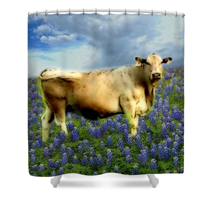 Art Shower Curtain featuring the photograph Cow and Bluebonnets by Barbara Tristan