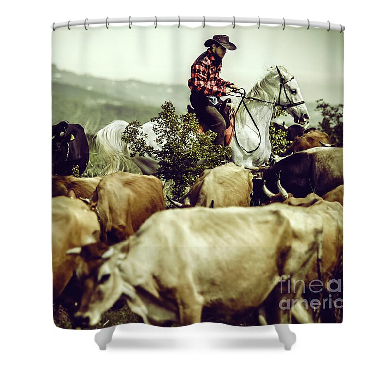 Horse Shower Curtain featuring the photograph Cowboy on cattle round by Dimitar Hristov