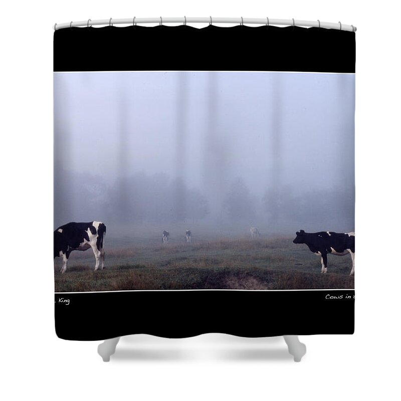  Shower Curtain featuring the photograph Cows in the Fog Poster by Wayne King