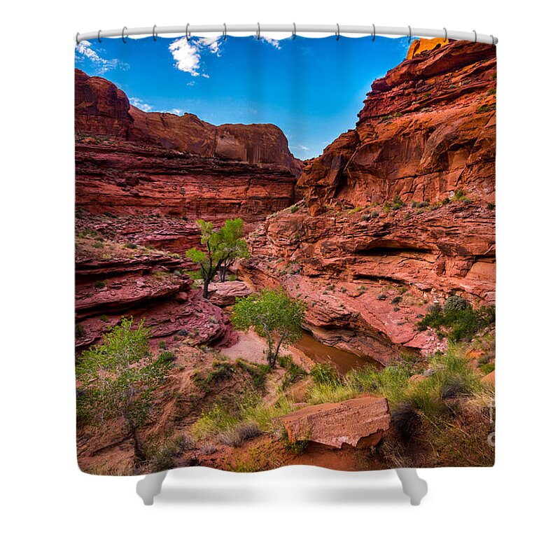 Coyote Gulch Shower Curtain featuring the photograph Coyote Gulch at Sunset by Gary Whitton