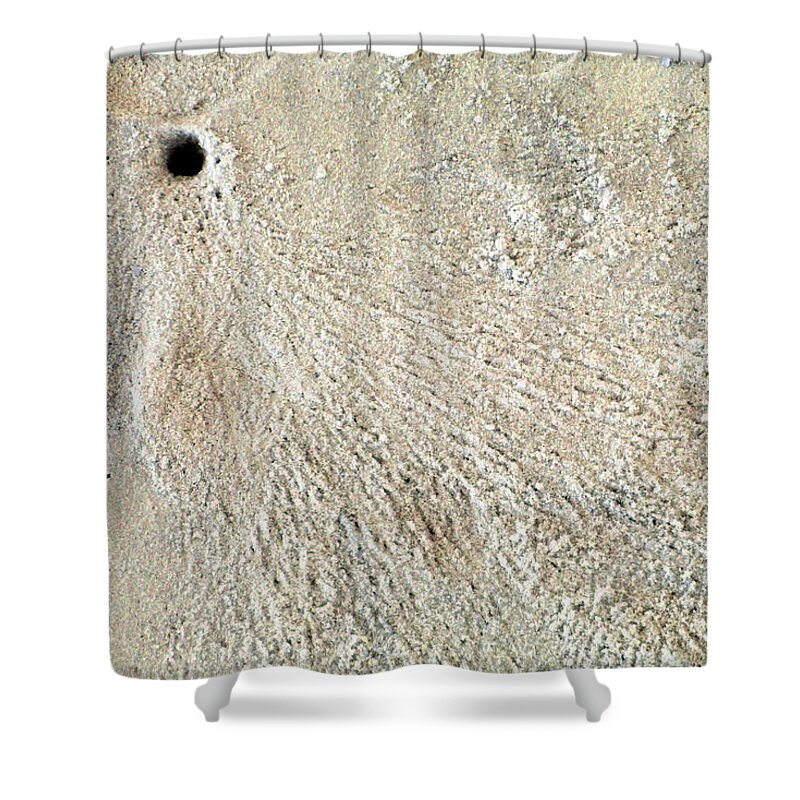 Abstract Shower Curtain featuring the photograph Crab Dugout Abstract by Karen Adams