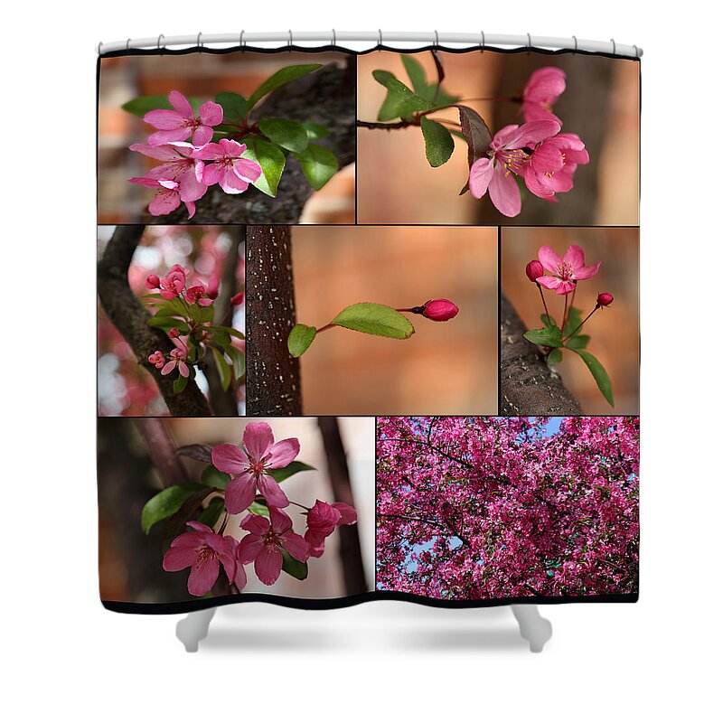 Crabapple Shower Curtain featuring the photograph Crabapple Spring 1 by Mary Bedy
