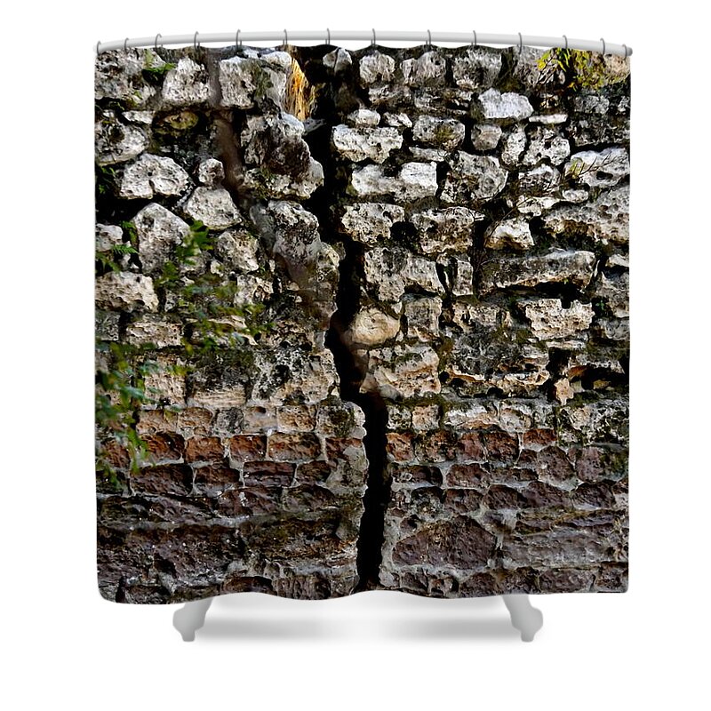Suwannee Springs Shower Curtain featuring the photograph Crack in the Wall by Julie Pappas
