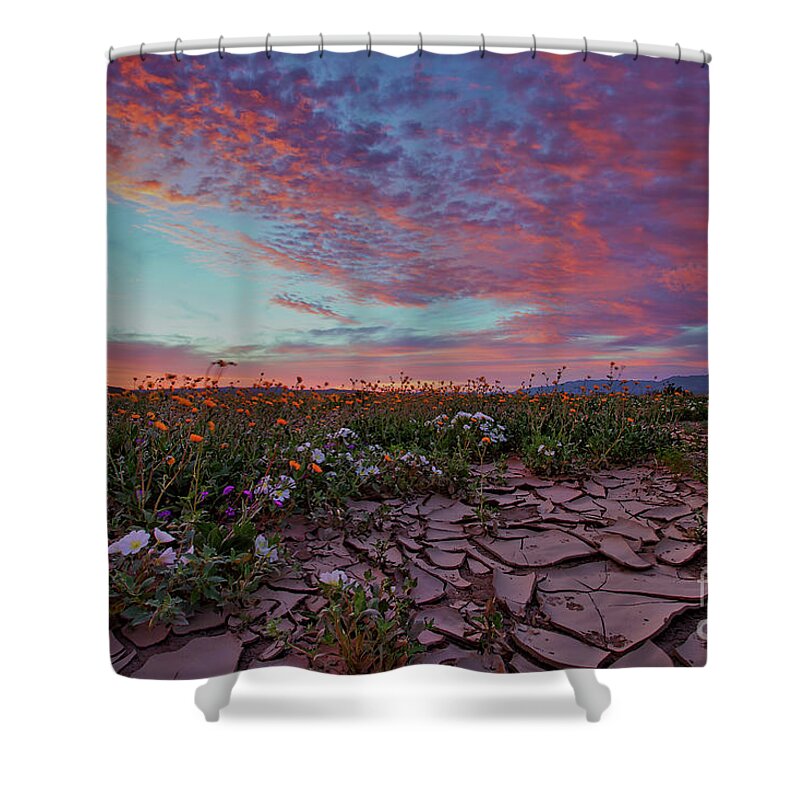 Anza Borrego State Park Shower Curtain featuring the photograph Crack of Dawn by Sam Antonio