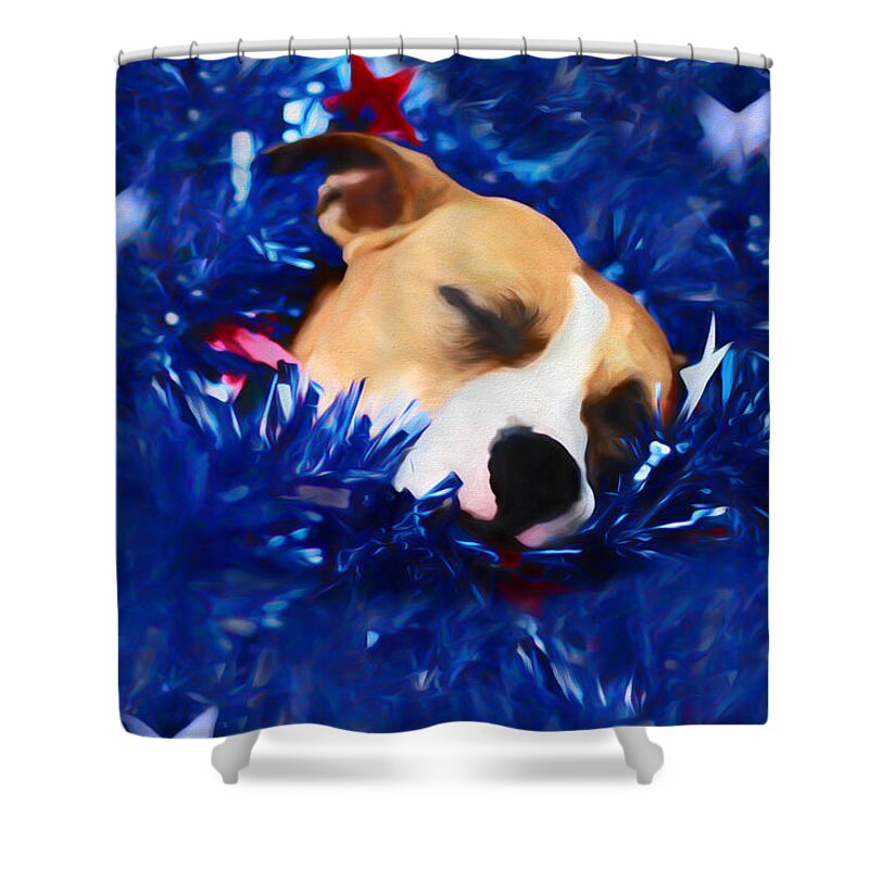 Usa Shower Curtain featuring the photograph Cradled by a Blanket of Stars and Stripes by Shelley Neff