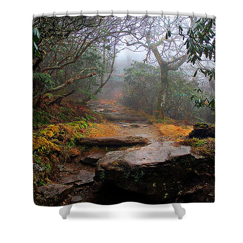 Craggy Gardens Shower Curtain featuring the photograph Craggy Gardens by Jessica Brawley