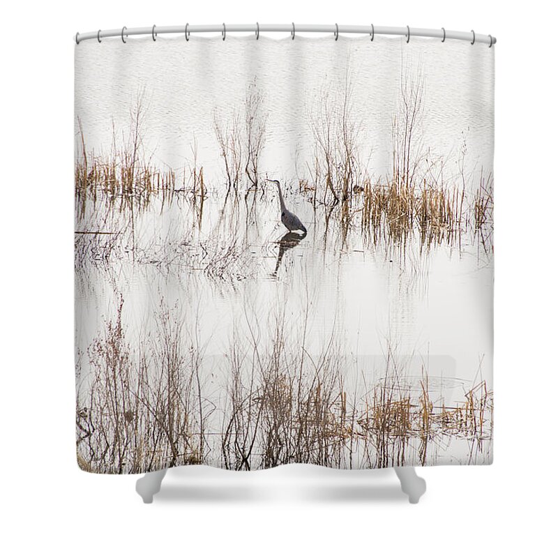 Crane Shower Curtain featuring the photograph Crane in Reeds by Laura Pratt