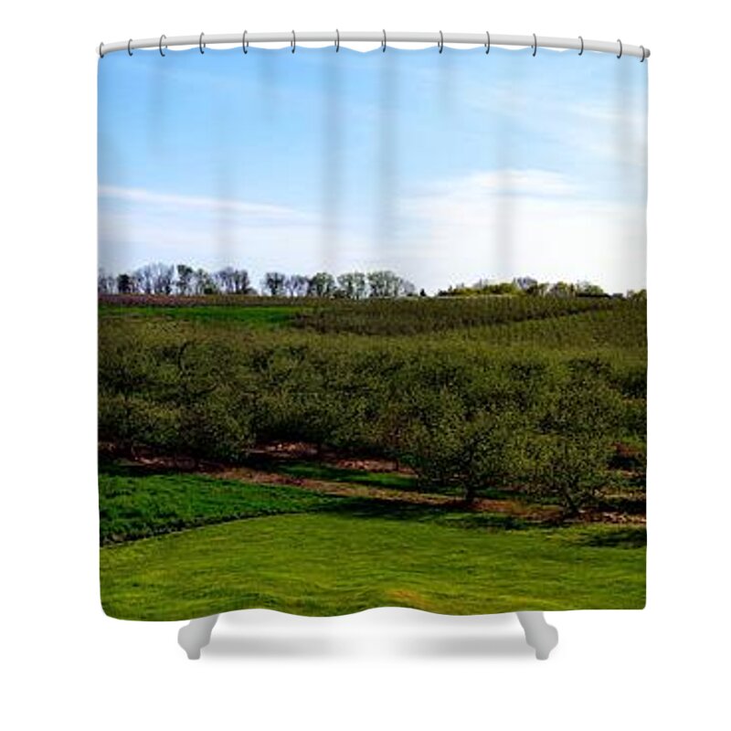 Orchard Shower Curtain featuring the photograph Crane Orchards by Michelle Calkins