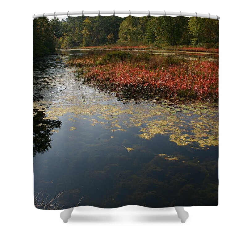 Water Shower Curtain featuring the photograph Creation by Richard De Wolfe