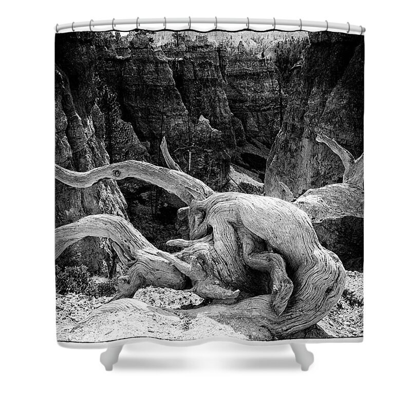 Creatures Shower Curtain featuring the photograph Creatures of Bryce Canyon by Jim Cook