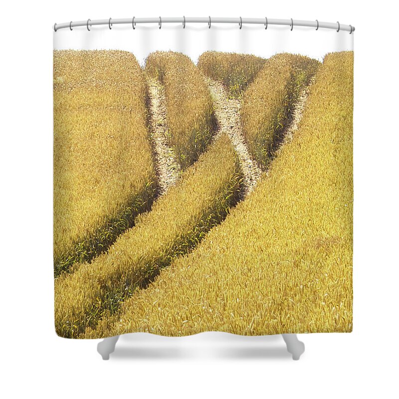 Europe Shower Curtain featuring the photograph Crossed Lanes on Cornfield by Heiko Koehrer-Wagner
