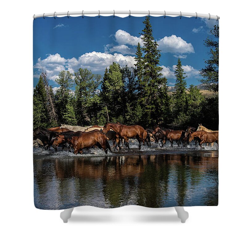 Horses Shower Curtain featuring the photograph Crossing Over by Pamela Steege