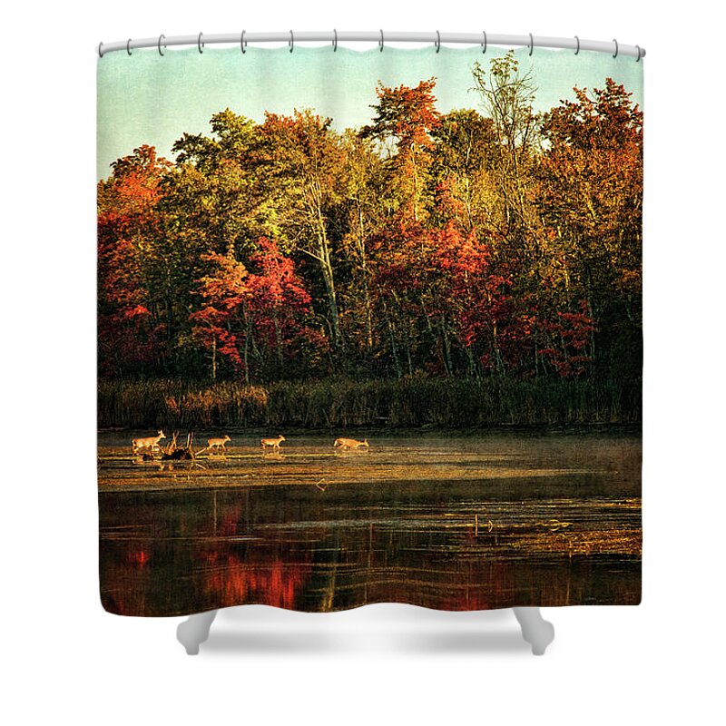 Cindi Ressler Shower Curtain featuring the photograph Crossing The Lake by Cindi Ressler