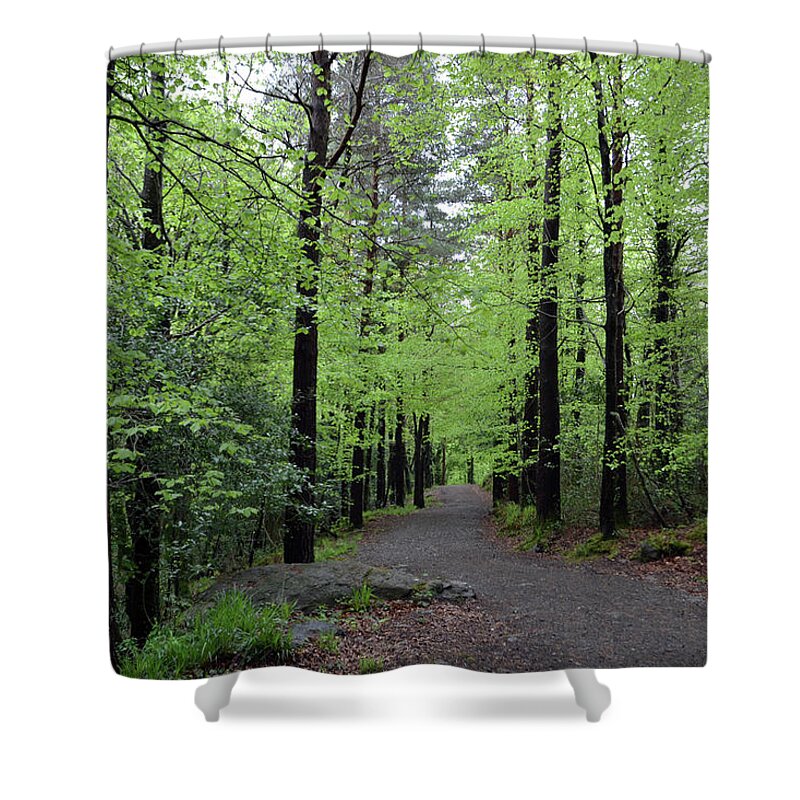 Ireland Shower Curtain featuring the photograph Crough Wood, Comeragh Mountains Waterford Ireland .jpg by Terence Davis