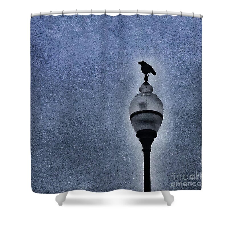 Crow Shower Curtain featuring the photograph Crow at rest by Barry Bohn