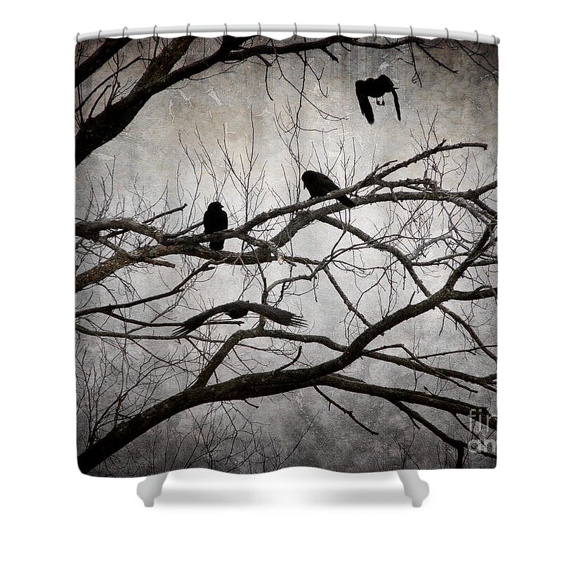Crows Shower Curtain featuring the photograph Crows at Midnight by Angie Rea