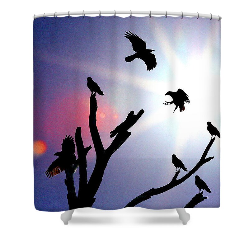 Terns Shower Curtain featuring the photograph Crows nest by W Gilroy