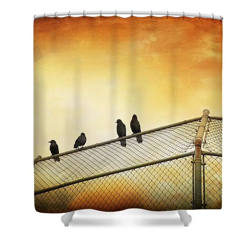 Theresa Tahara Shower Curtain featuring the photograph Crows On The Backstop by Theresa Tahara