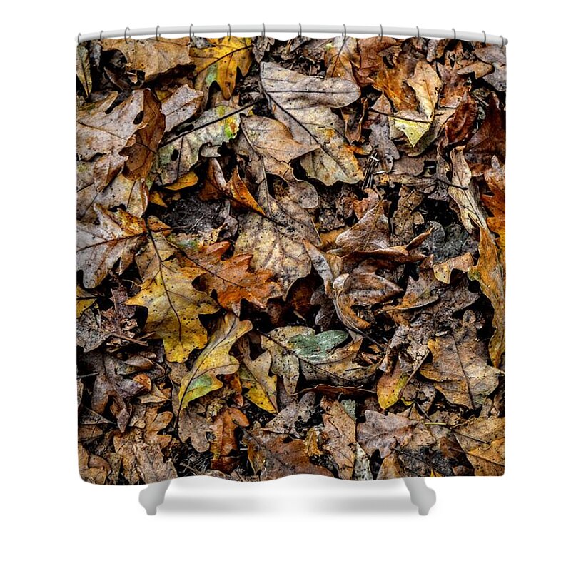Leaves Shower Curtain featuring the photograph Crunched Out by Michael Brungardt