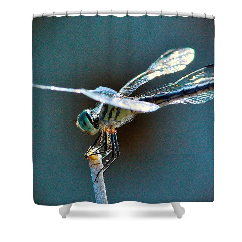 Dragonfly Shower Curtain featuring the photograph Crystal Wings by Marcia Breznay