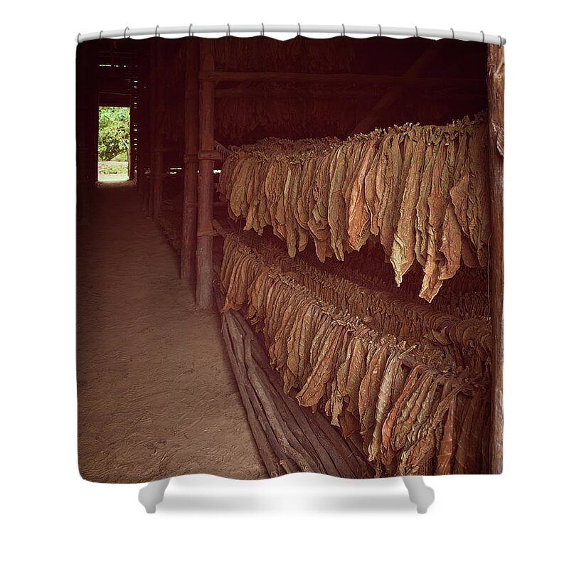 Joan Carroll Shower Curtain featuring the photograph Cuban Tobacco Shed by Joan Carroll
