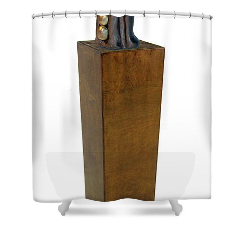  Shower Curtain featuring the sculpture Culmination by Rein Nomm