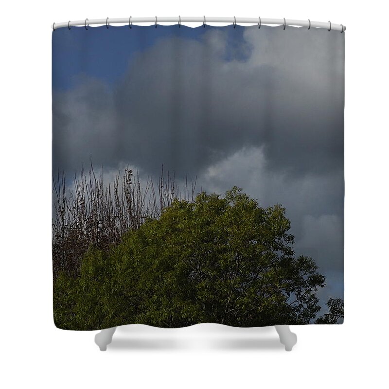  Shower Curtain featuring the photograph Cumulus 14 and Trees by Richard Thomas