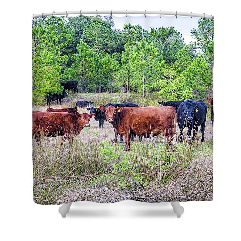 Agriculture Shower Curtain featuring the photograph Curiosity by Scott Hansen