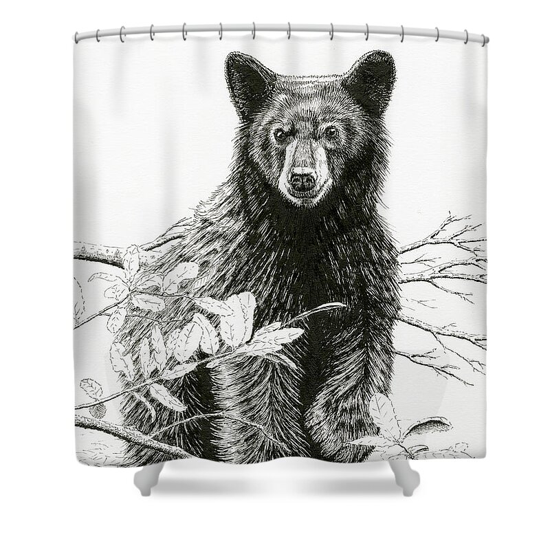 Black Bear Shower Curtain featuring the drawing Curious Young Bear by Timothy Livingston