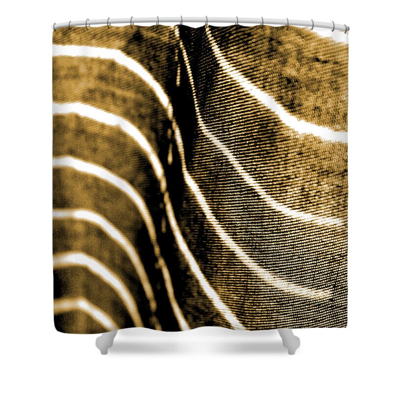 Abstract Shower Curtain featuring the photograph Curves and Folds by Todd Blanchard