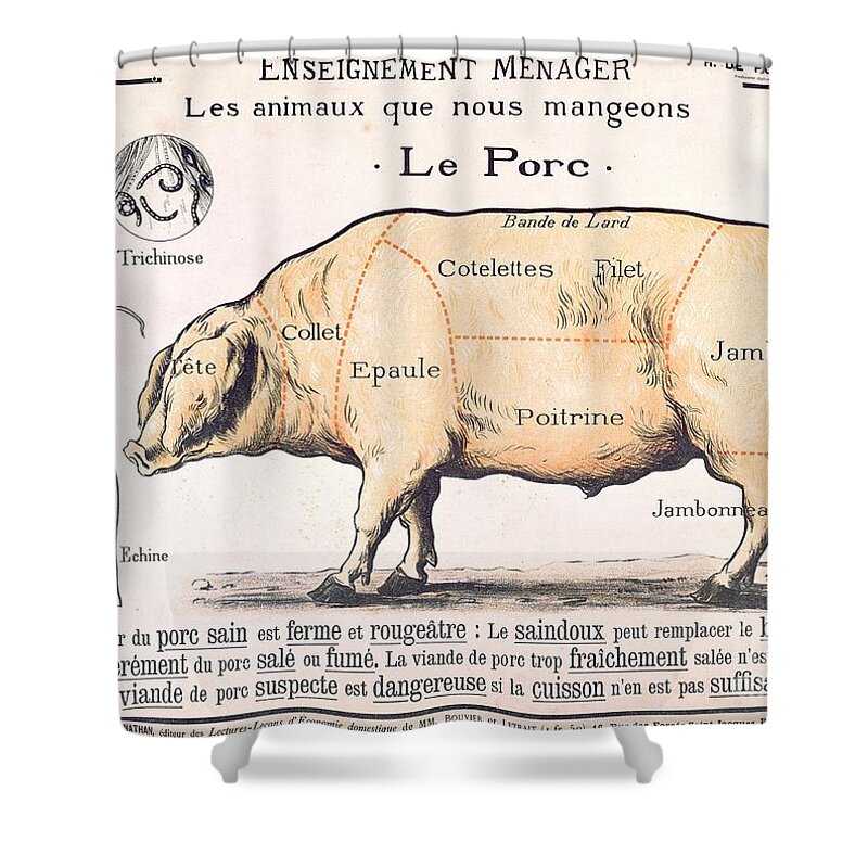 Eating;farm Animals; Cross Section; Loin; Rump; Flank; Butcher; Joint; Pig; Pigs; Shoulder; Ham; Belly; Shoulder; Diagram; Slaughter; Farming; Food Preparation; Domestic Science; Nutrition;teaching;education;home Economics; Farming; Breed;butchering Shower Curtain featuring the drawing Cuts of Pork by French School