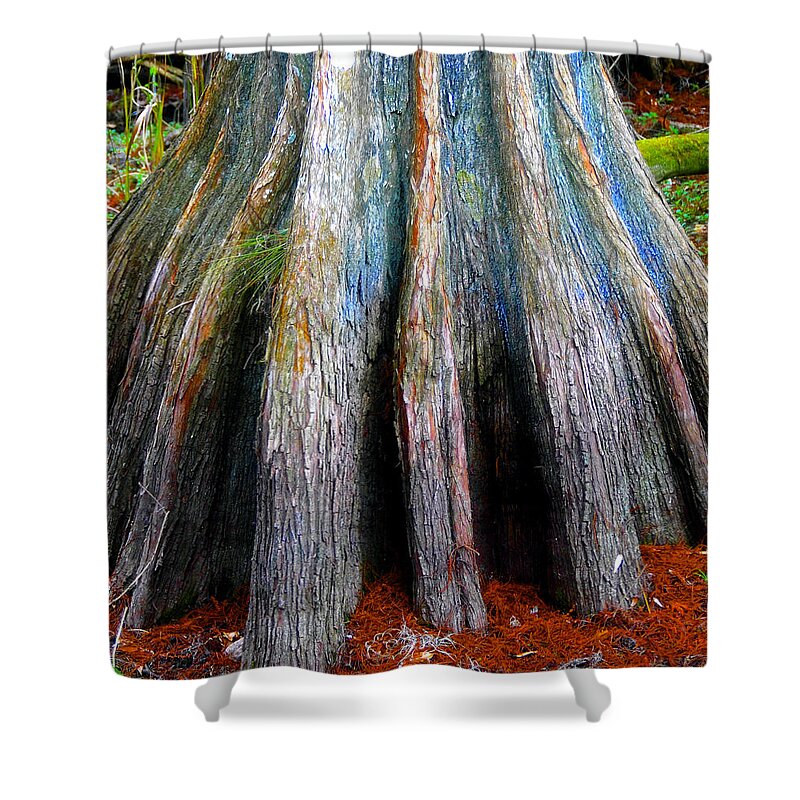 Cypress Tree Shower Curtain featuring the photograph Cypress foot by David Lee Thompson