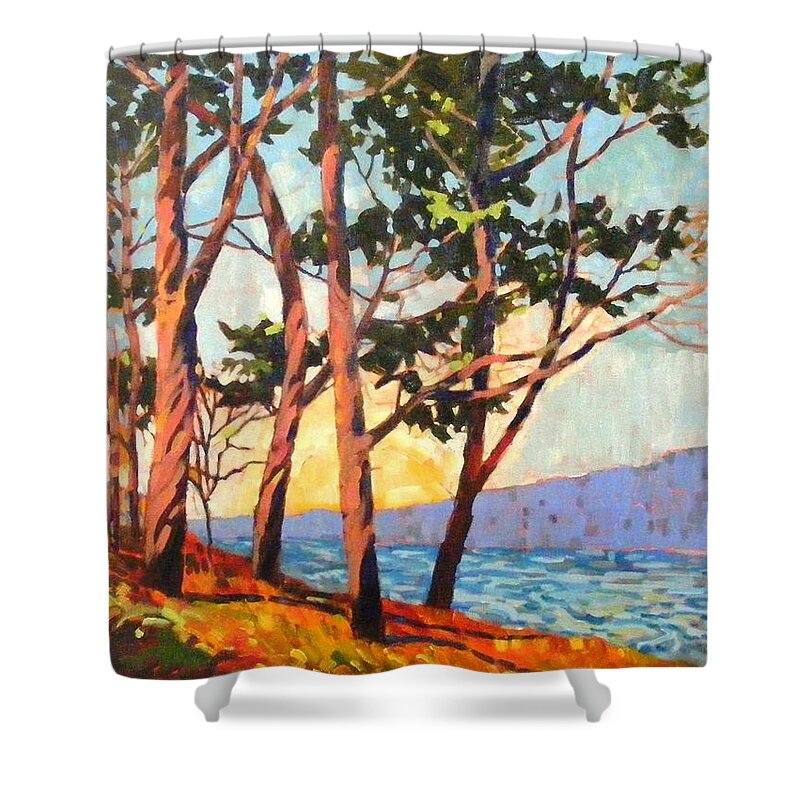 Cypress Shower Curtain featuring the painting Cypress light by Celine K Yong