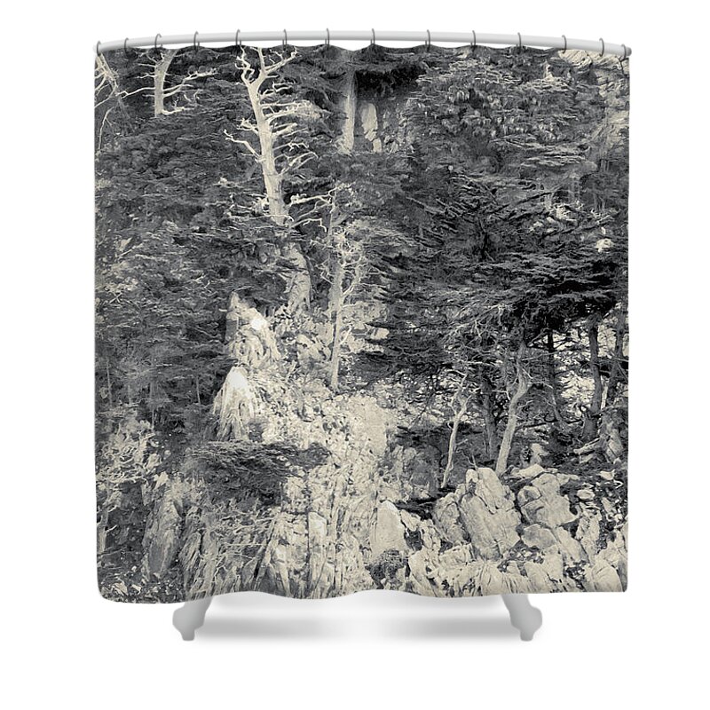 Cypress Shower Curtain featuring the digital art Cypress Strewn Cliff, Carmel Bay, Point Lobos, State Park Carmel, California by Kathy Anselmo