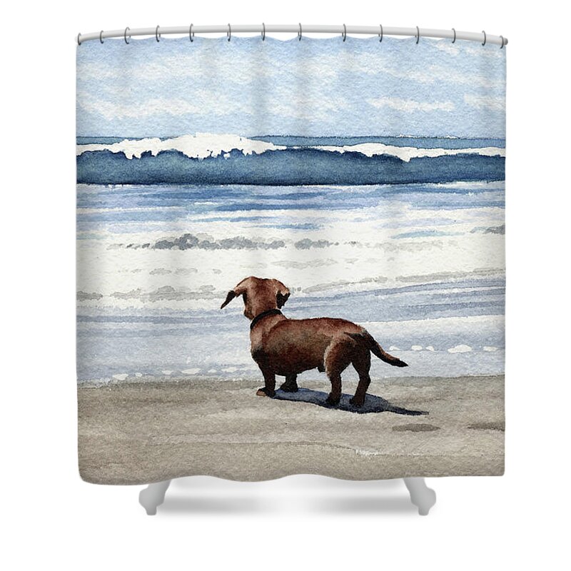 Dachshund Shower Curtain featuring the painting Dachshund at the Beach by David Rogers