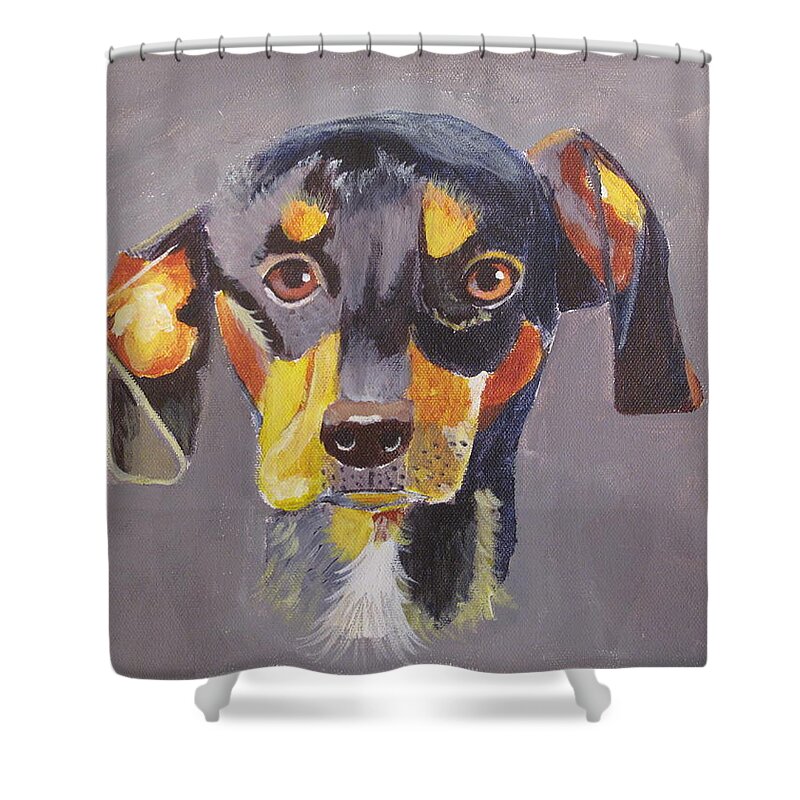 Pets Shower Curtain featuring the painting Dachshund by Kathie Camara