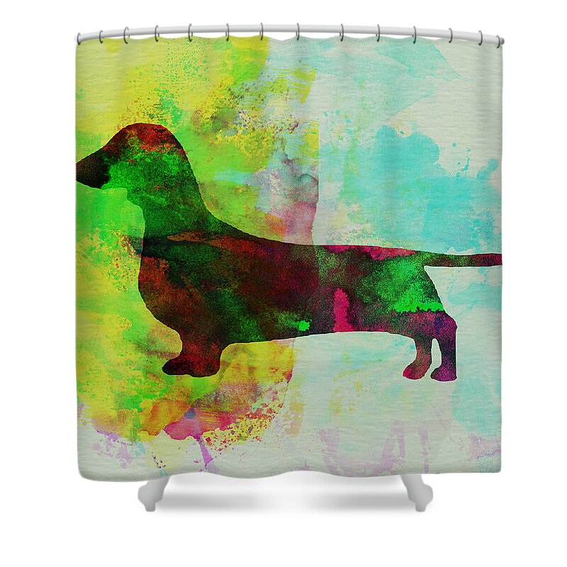 Dachshund Shower Curtain featuring the painting Dachshund Watercolor by Naxart Studio