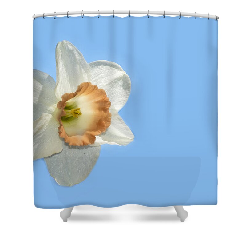 Blue Sky Shower Curtain featuring the photograph Daffodil by Cathy Kovarik