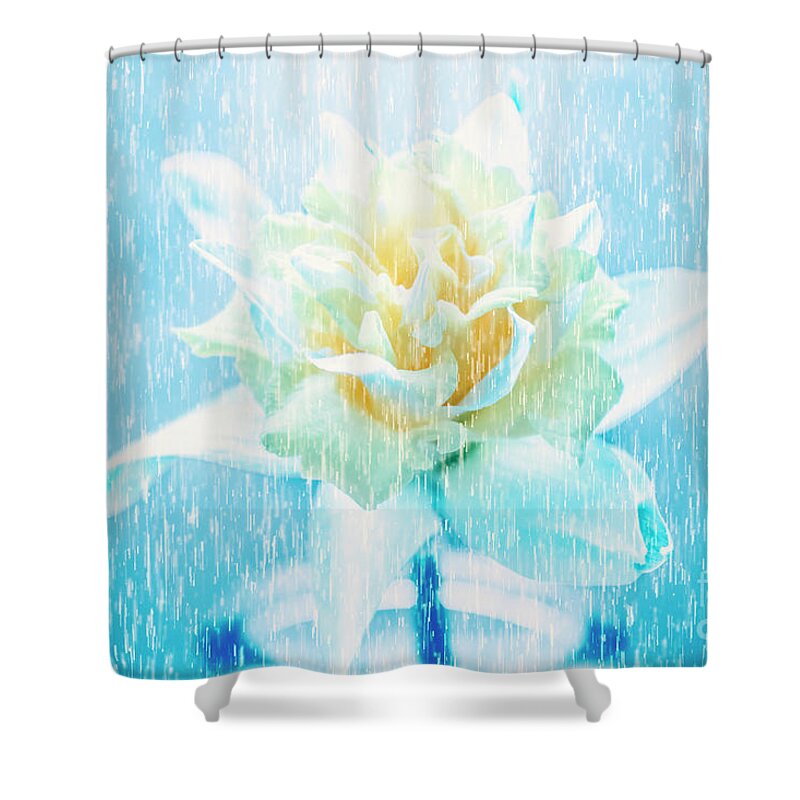Dramatic Shower Curtain featuring the photograph Daffodil flower in rain. Digital art by Jorgo Photography