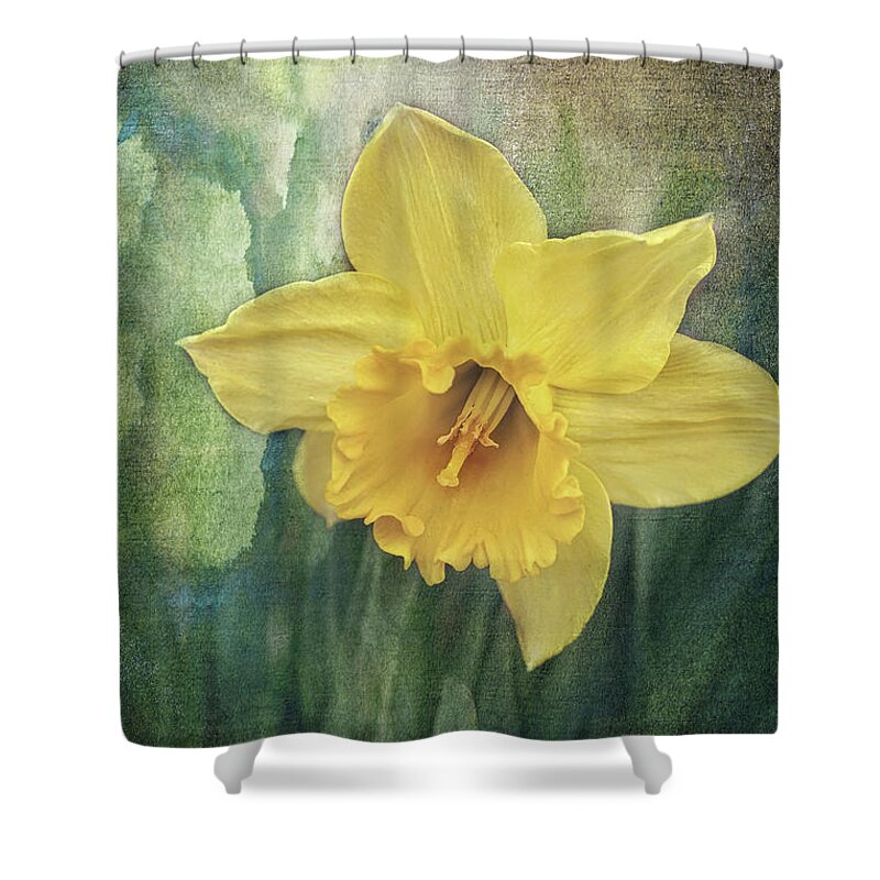 Daffodils In Bloom Print Shower Curtain featuring the photograph Daffodils in Bloom by Gwen Gibson
