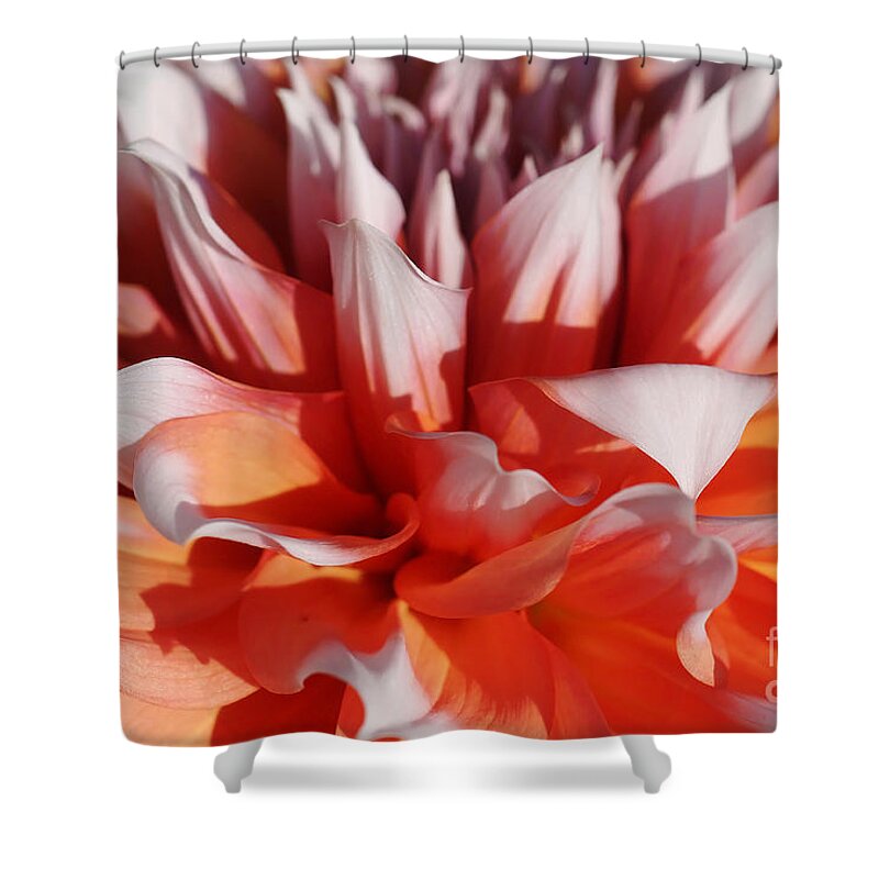 Nature Shower Curtain featuring the photograph Dahlia 60 by Rudi Prott